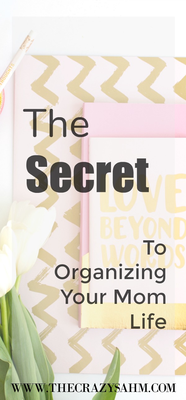 Need to organize all of the craziness going on in your life, but do not know where to start? Check out these tips and products to get you there!